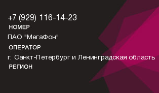 9291161423